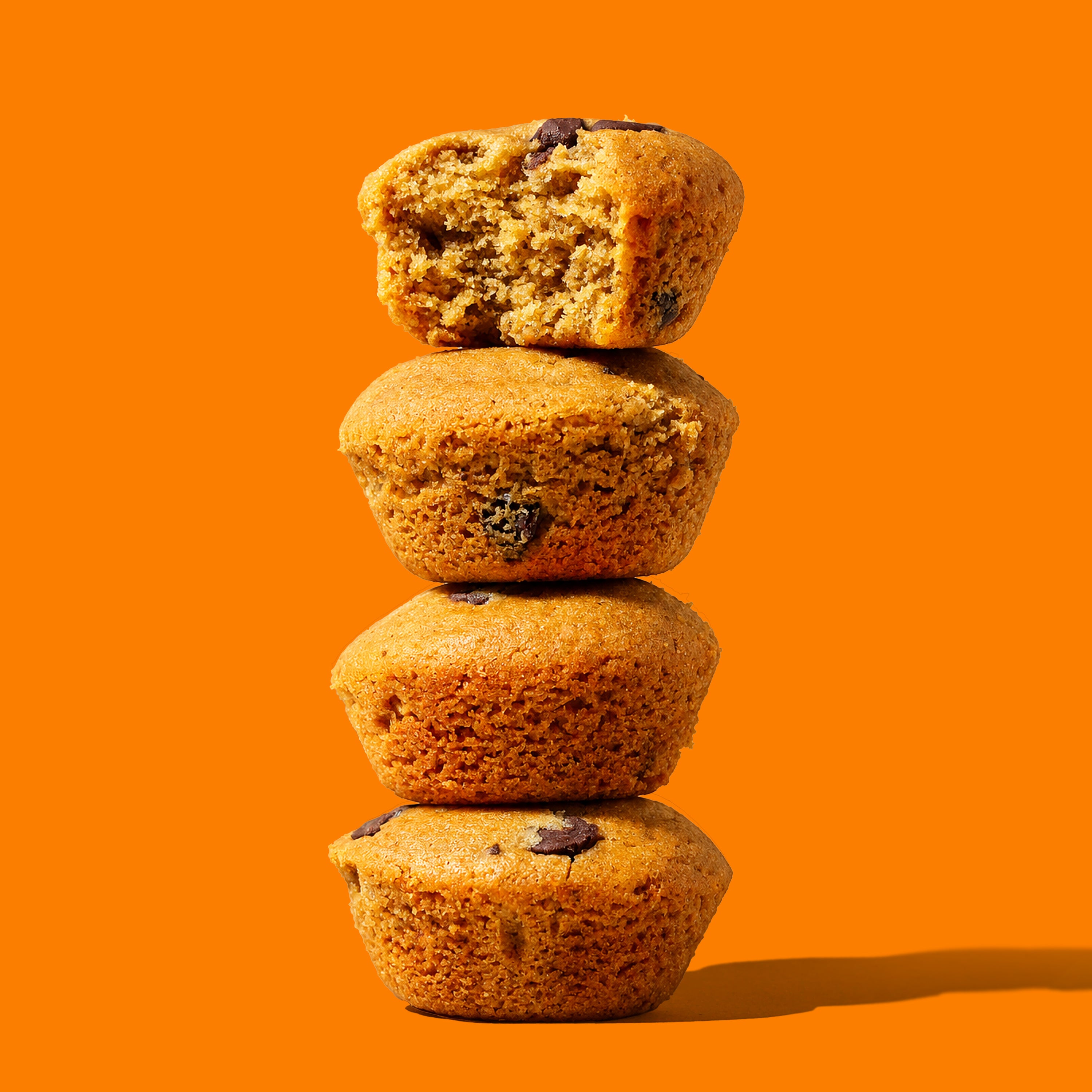 Chocolate Chip